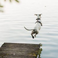 Water safety competence